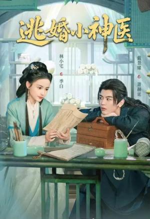 逃婚小神医
