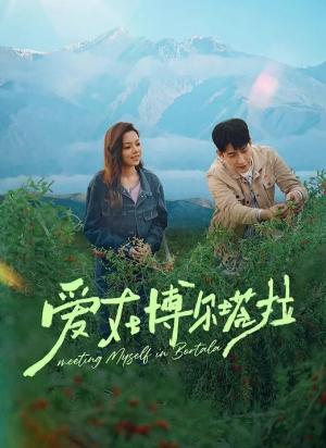 爱在博尔塔拉