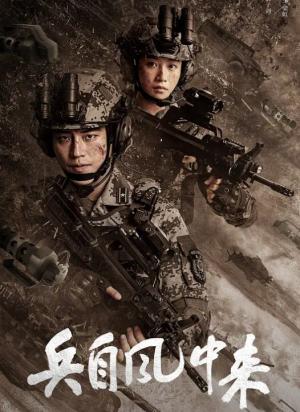 兵自风中来