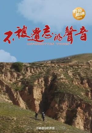 不被遗忘的声音