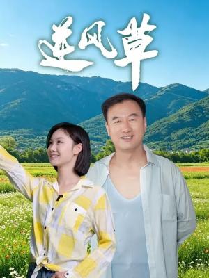 逆风草