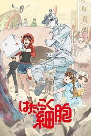 工作细胞第一季（普通话版）