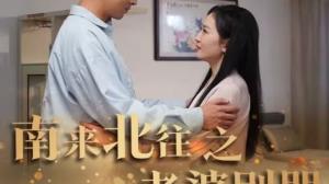 南来北往之老婆别哭