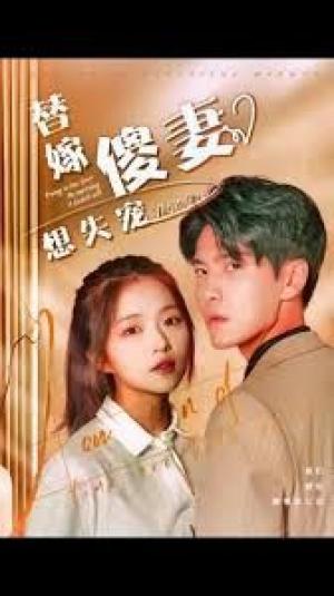 替嫁傻妻想失宠