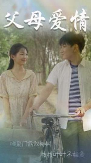 父母爱情（不知人间有白头）