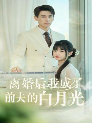 离婚后我成了前夫的白月光（总裁前夫太难缠）