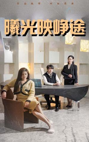 曦光映峥途（错把瓦砾当明珠）