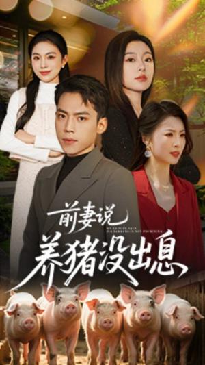 前妻说养猪没出息