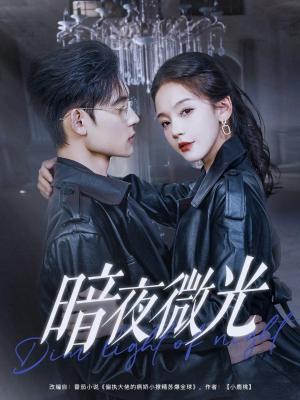 暗夜微光