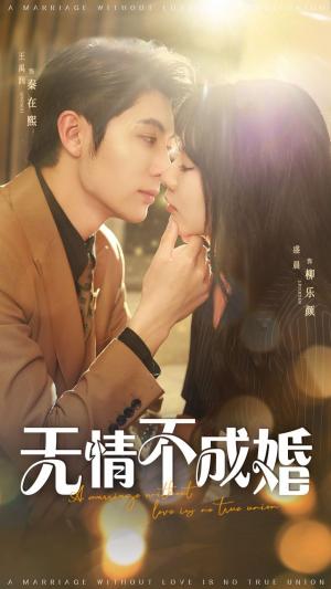 无情不成婚
