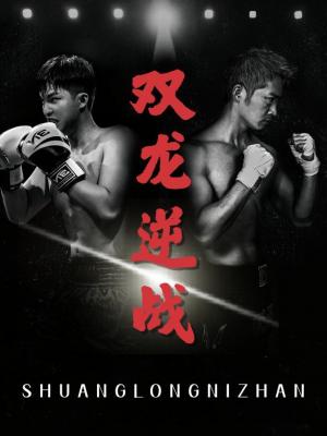 双龙逆战（拳王之父子双龙）