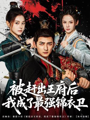 被赶出王府后我成了最强锦衣卫