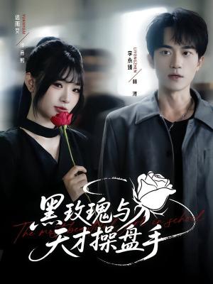 黑玫瑰与天才操盘手