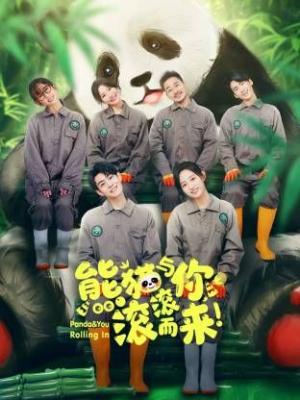 熊猫与你，滚滚而来！