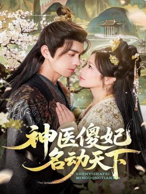 神医傻妃名动天下