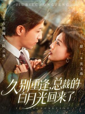 久别重逢，总裁的白月光回来了