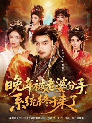 晚年被老婆分手，系统终于来了