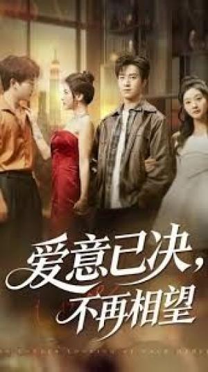 爱意已决不再相望