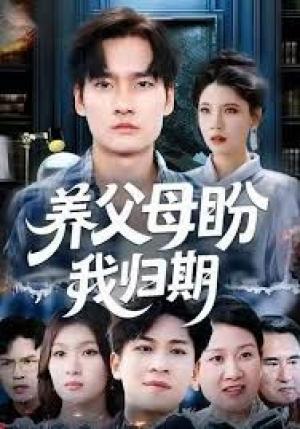 养父母盼我归期