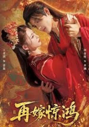 再嫁惊鸿