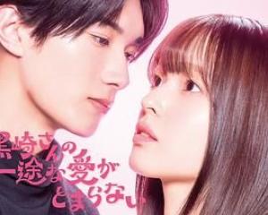 黑崎先生停不下来的专一之爱