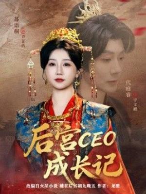 后宫CEO成长记