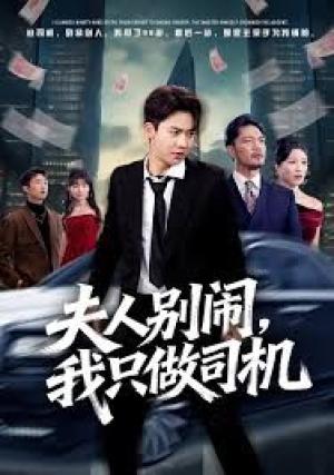 夫人别闹我只做司机