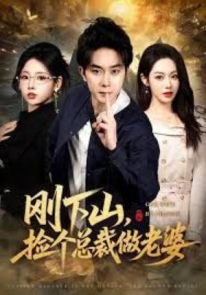 刚下山捡个总裁做老婆