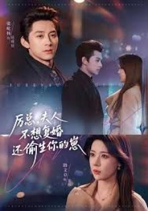 厉总，夫人不想复婚还偷生你的崽