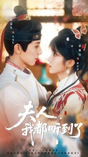 夫人，我都听到了，夫人每天都想被休