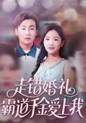 走错婚礼霸道千金爱上我