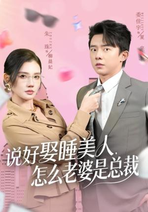 说好娶睡美人，怎么老婆是总裁