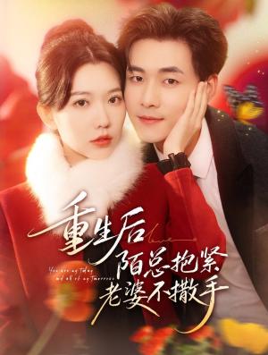 重生后陌总抱紧老婆不撒手