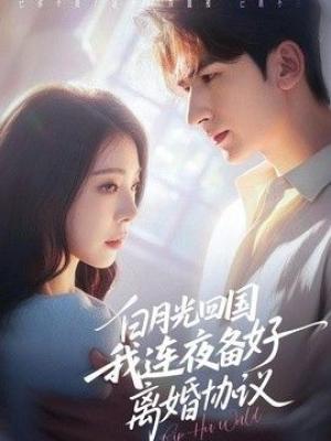 白月光回国我连夜备好离婚协议