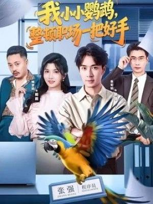我小小鹦鹉，整顿职场一把好手