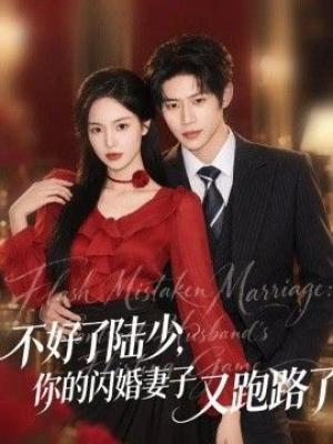 好了陆少，你的闪婚妻子又跑路了