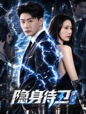 隐身侍卫第二季