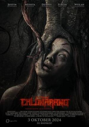 候选人阿兰的诅咒