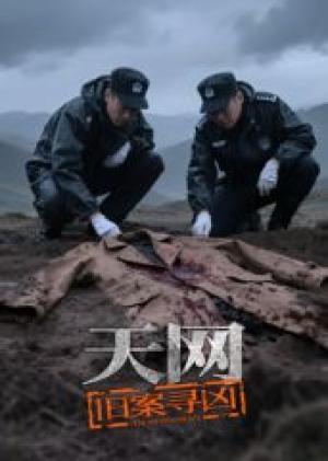天网：旧案寻凶