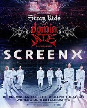 Stray Kids：主宰一切的体验