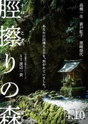 胫擦之森